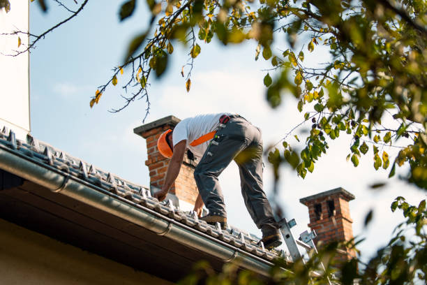 Best Storm Damage Roof Repair  in Eagle Lake, WI