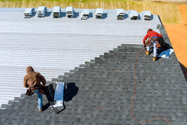 Roof Gutter Cleaning in Eagle Lake, WI