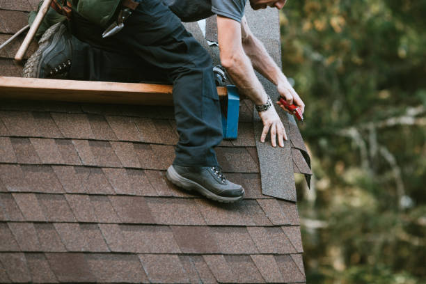 Best Sealant for Roof  in Eagle Lake, WI